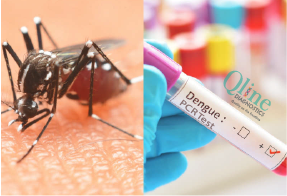 dengue pcr test ahmedabad